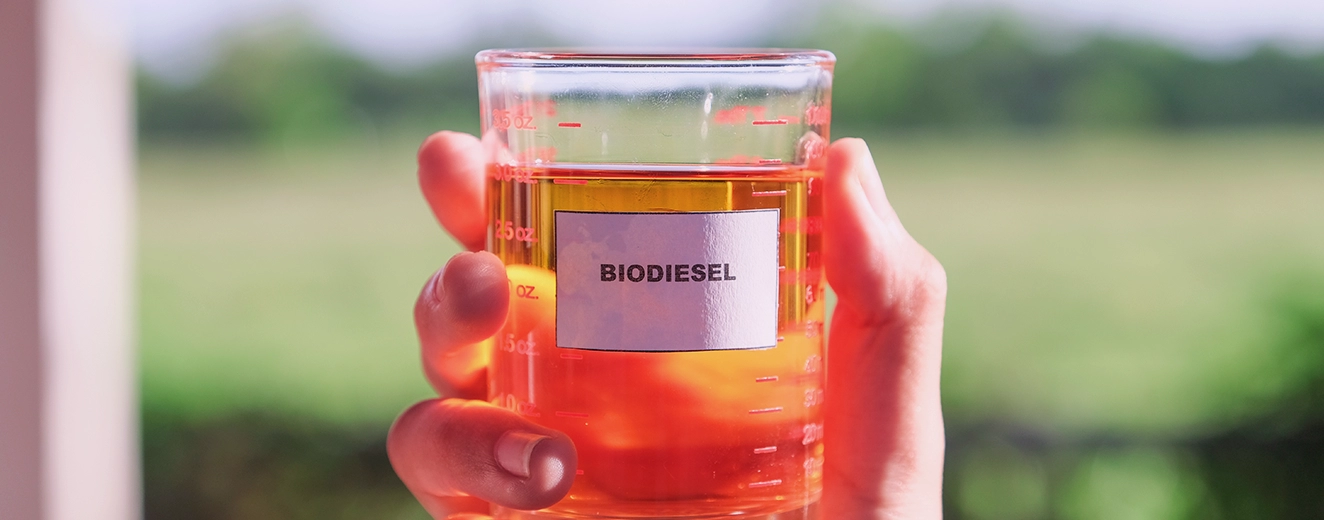 Biodiesel: Características do Biocombustível