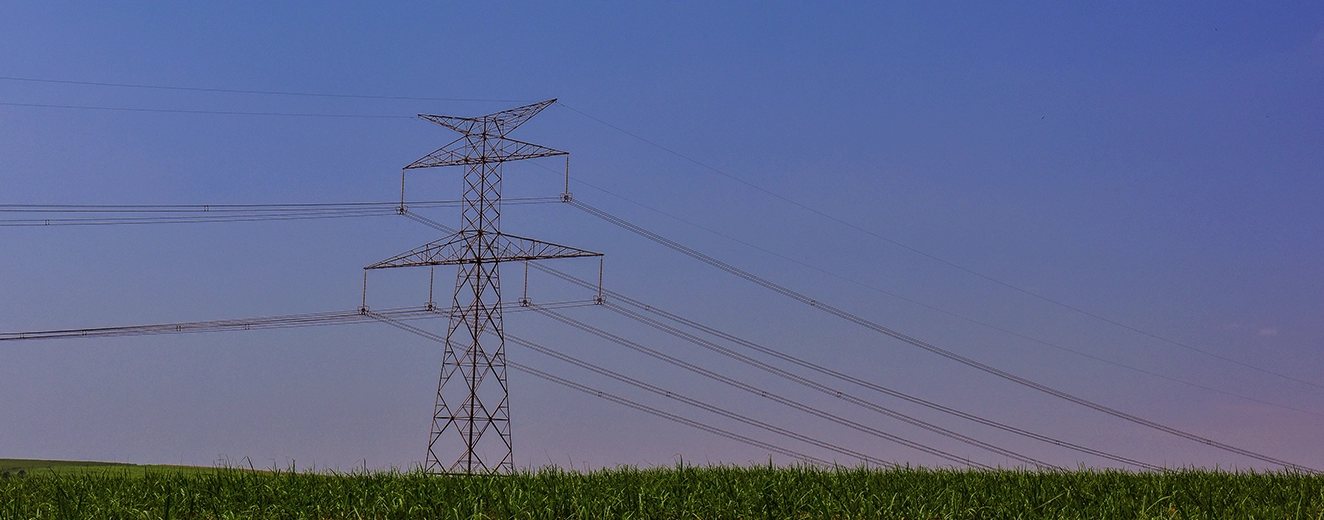 Bioeletricidade: A Revolução Energética