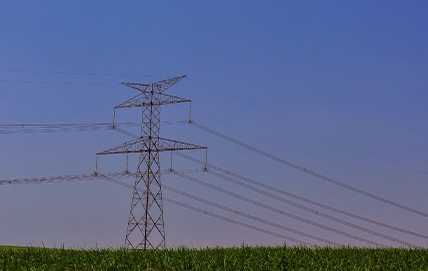 Bioeletricidade: A Revolução Energética