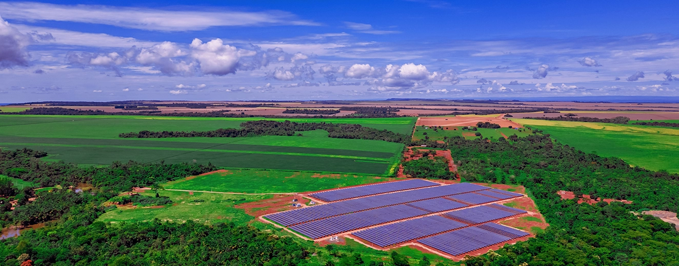 Crédito de Carbono: Como Funciona e Seus Impactos