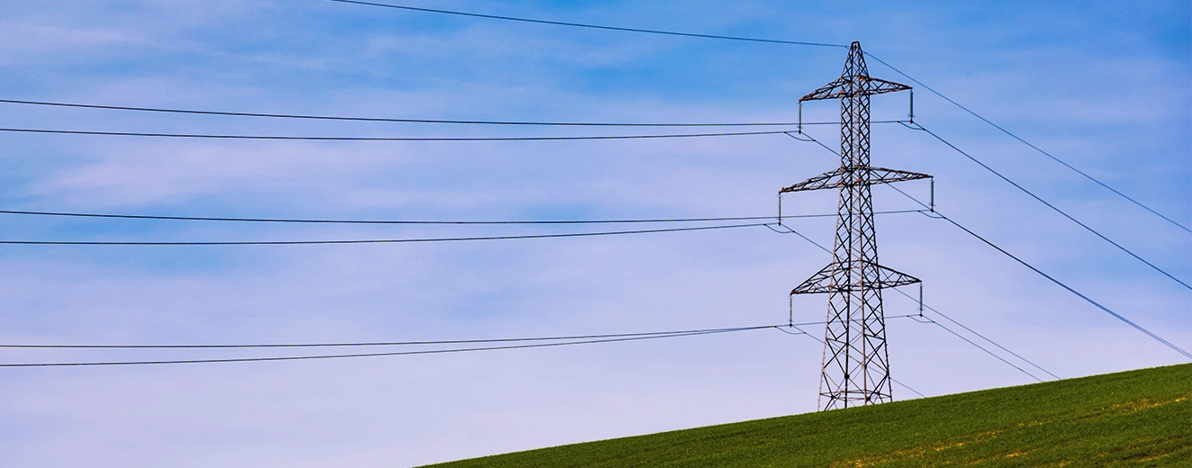 Energia a partir da biomassa: entenda o que é e para que serve!