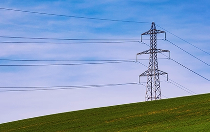 Energia a partir da biomassa: entenda o que é e para que serve!