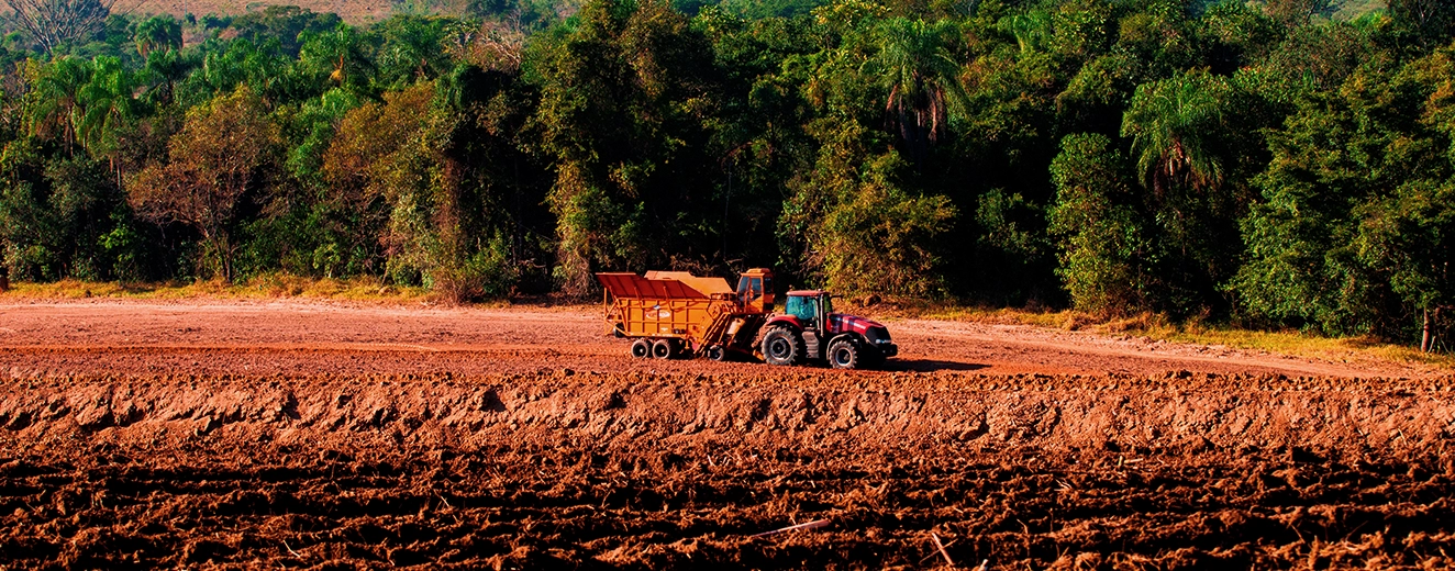 Fertilizantes Orgânicos: O que são, Tipos e Utilizações