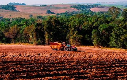 Fertilizantes Orgânicos: O que são, Tipos e Utilizações