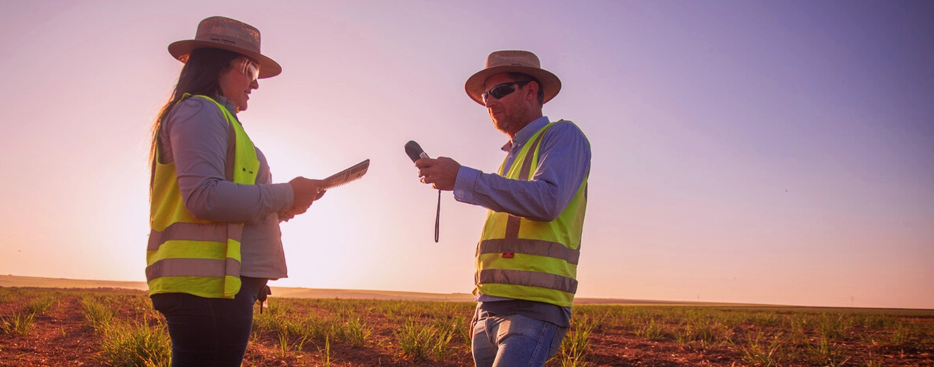 Produtividade Agrícola: Estratégias Eficientes